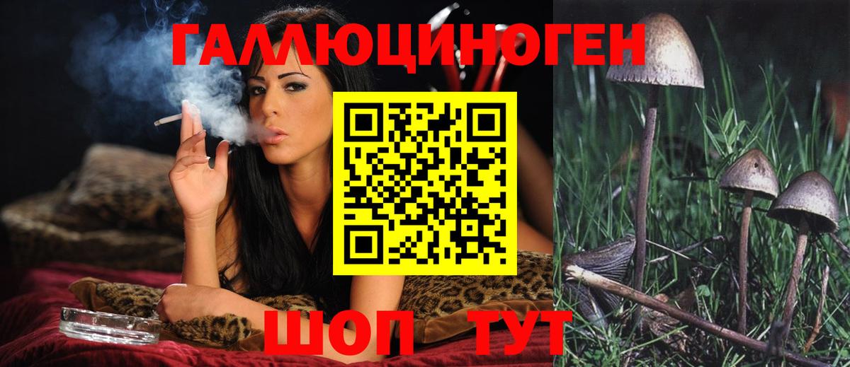 Северобайкальск  Псилоцибиновые грибы Magic Shrooms  Вход с VPN 